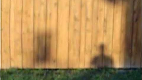 Super Smash Brothers Brawl Montage (video test quality)