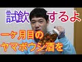 一ヶ月目のヤマボウシ(山法師)酒を試飲しました！！