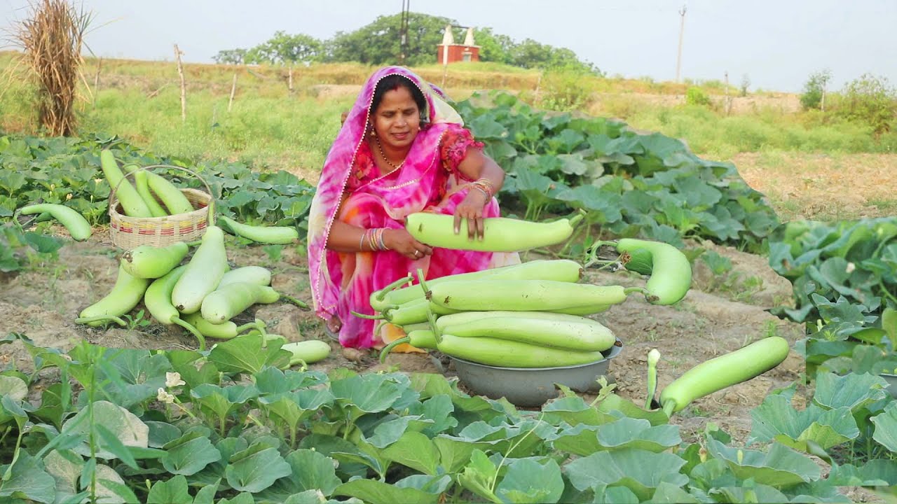लौकी का चोखा और बाटी अगर साथ में मिल जाए तो सभी लोग अंगुलिया चाट चाट कर खाए || Lauki ka Chokha,Litti
