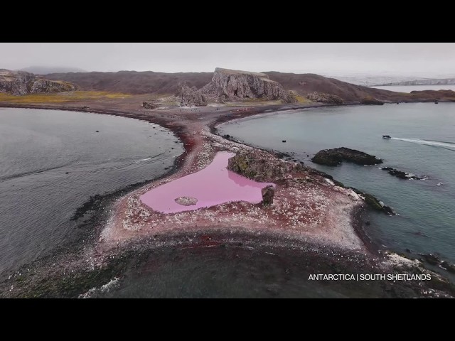 South Shetland Islands | Gateway to Antarctica