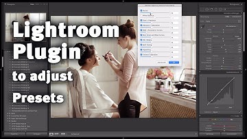 Section Adjust Lightroom Plugin Tutorial (English)