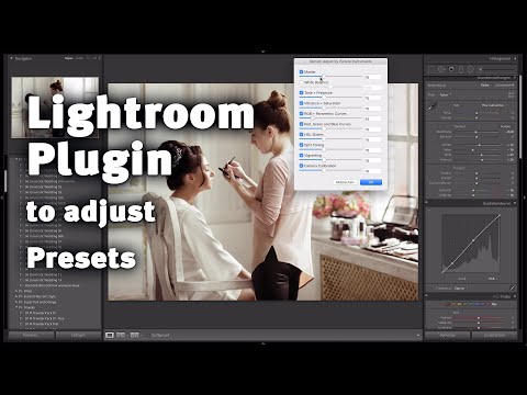 Section Adjust Lightroom Plugin Tutorial (English)
