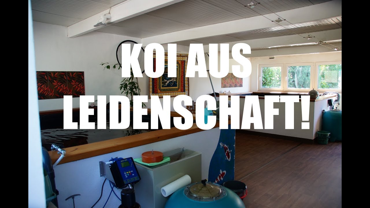 Koiteichblog [73] ★ Zu Besuch bei Koi Kühl 💘