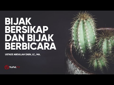 Video: Apakah peranti saling kunci yang paling bijak?