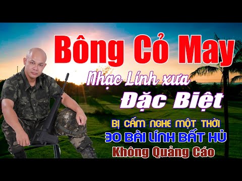 Bông Cỏ May Gió Về Miền Xuôi Công Tuấn Liên Khúc Rumba Hải Ngoại Vượt Thời Gian Đắm Say Thế Hệ
