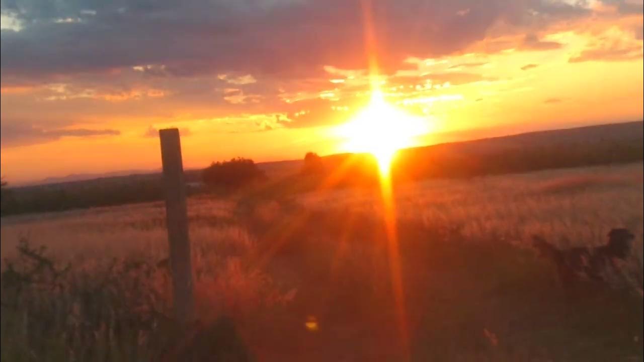Puesta de sol. - YouTube