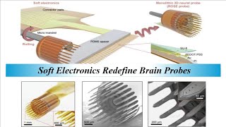 Soft Electronics Redefine Brain Probes screenshot 5