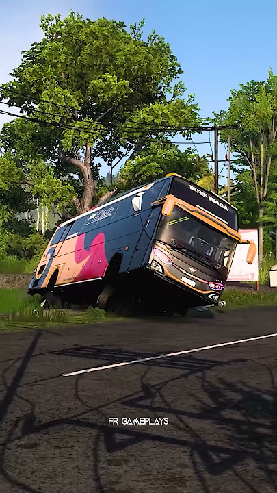 Maleo : Sulit untuk di pahami 😄 #telolet #basuri #ets2indonesia #viral
