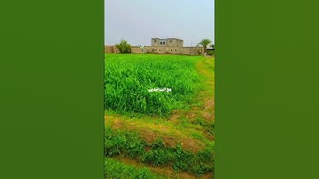 سورة الحجر - القارئ خالد الجليل #تلاوات #قران #ترند #بدون_حقوق #اكسبلور #انشر_تؤجر #السعودية