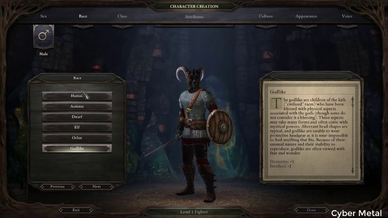 Pillars Of Eternity Definitive Edition Character