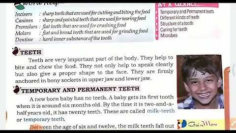 Class 4 - Science - Chapter 2 - Teeth & Microbes - Part 2