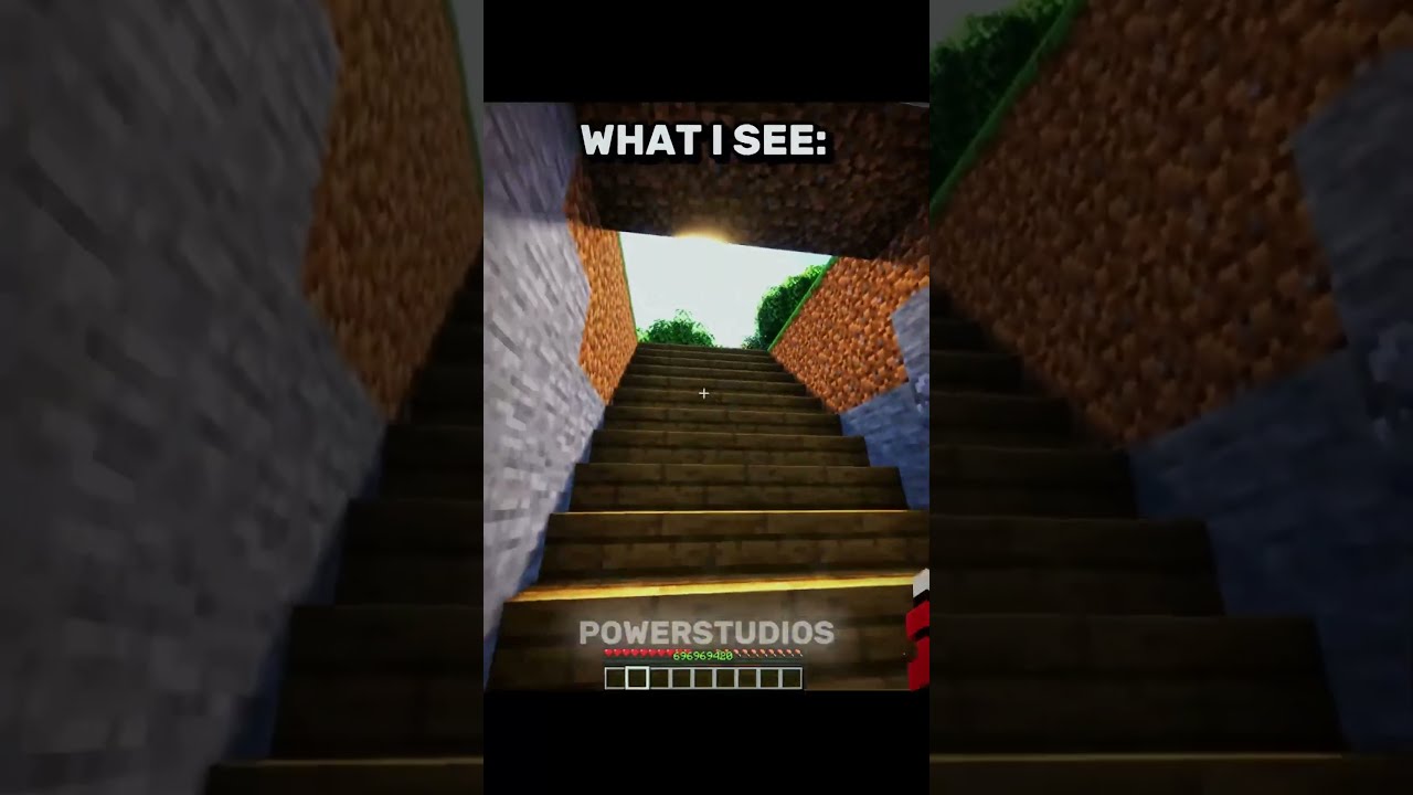 Minecraft Short Friend 