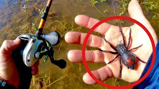 Will LARGEMOUTH BASS Eat This Hideous Black Widow Spider Bait???? #fishing  #wadefishing 