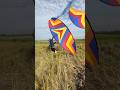 Thả diều nghệ nhân tung diều kiểu này đúng là báo diều rồi..#layangan #kite #patang #xuhướng #pipa