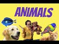 "What animal is this?" Vocab + SONG + GAME