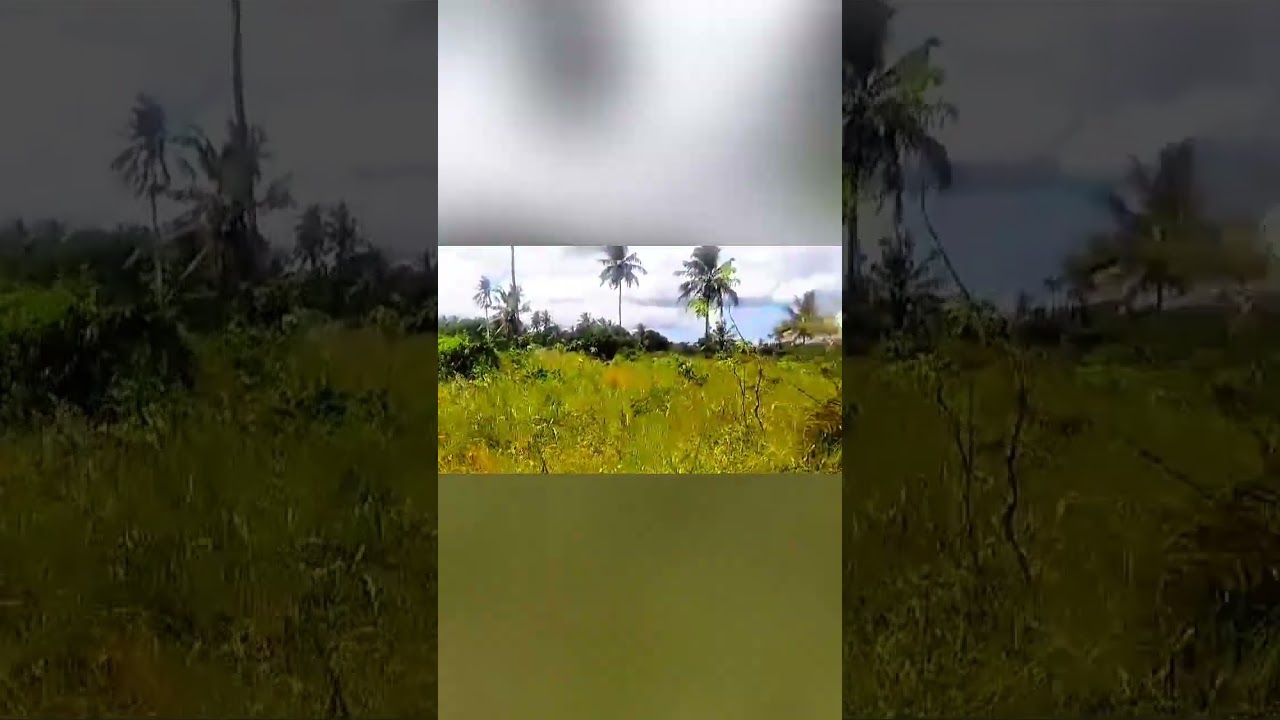 Mkuranga: 11.5 Acres Farm on Industrial Area for Sale