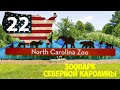 Зоопарк штата Северной Каролины.
