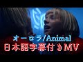 オーロラ - アニマル [日本語字幕付き] / AURORA - Animal [Japanese Subtitle]