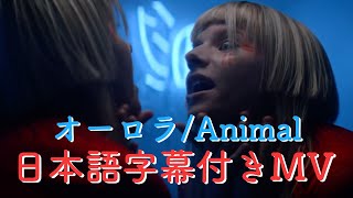 オーロラ - アニマル [日本語字幕付き] / AURORA - Animal [Japanese Subtitle]