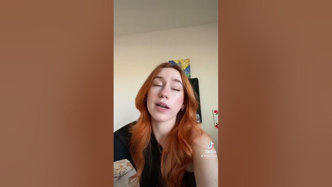 La cucaracha remix La cucaracha remix