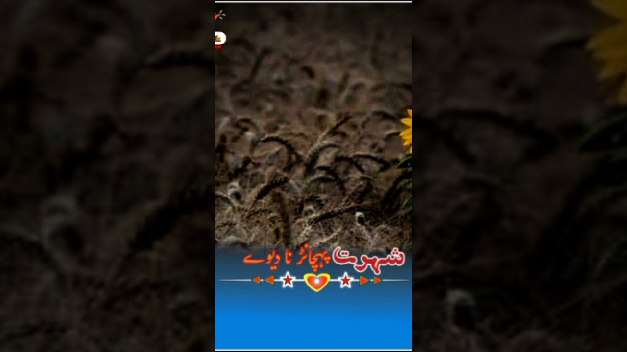 Baba Talib Hussain Dard 