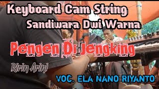 Keyboard Cam String || Ririn Arini || Pengen Di Jengking Sandiwara Dwi Warna Voc. Ela Nano Riyanto