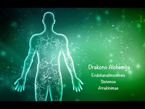 Video: Kas Yra Alchemija