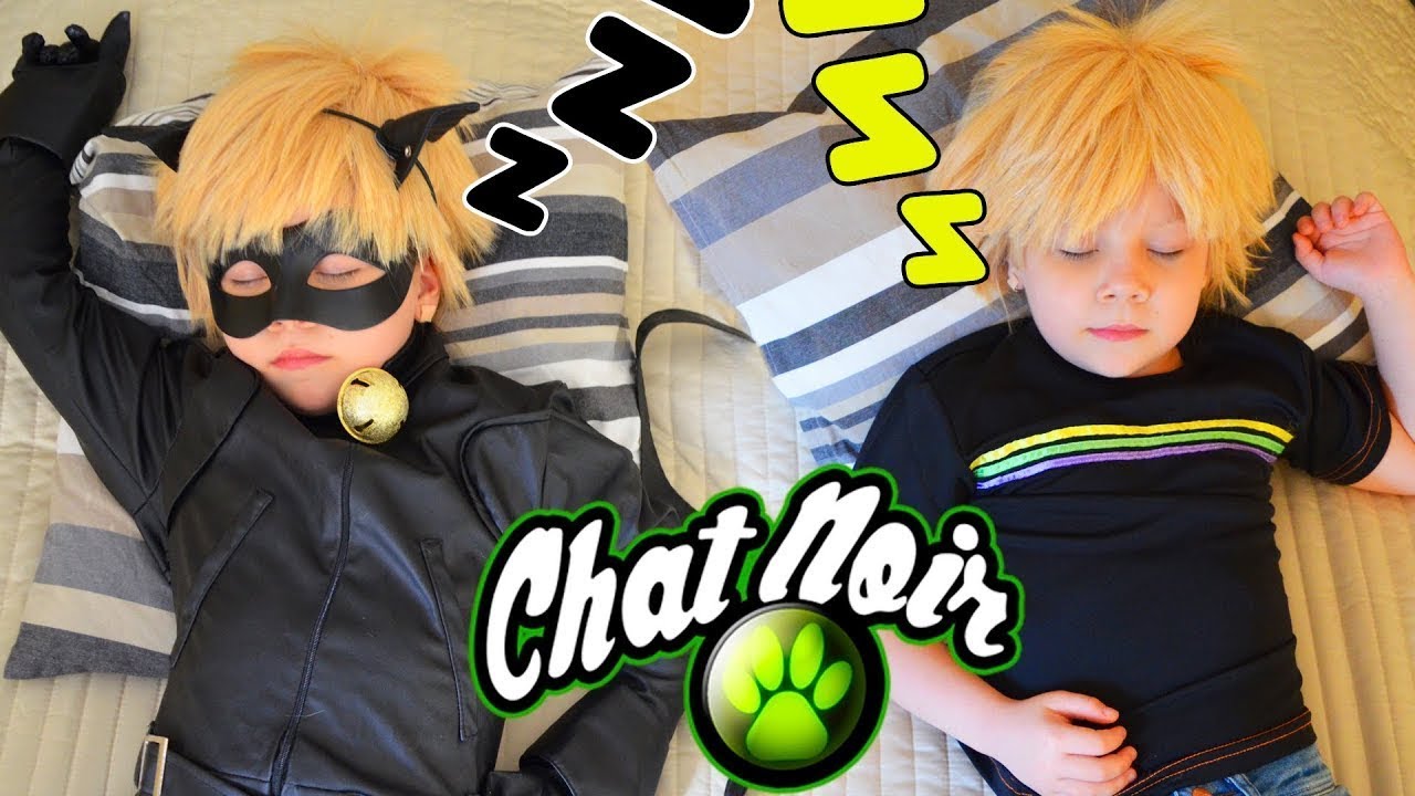 القط الأسود و حياته اليومية بدون الدعسوقة 💔 مواقف مضحكة ومضحكة إدرين و الكوامي