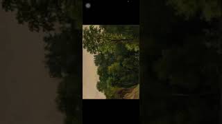 Student Art Critic Video Analysis  Assignment