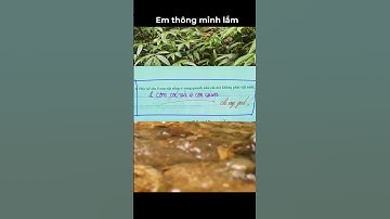 Em thông minh lắm #shorts