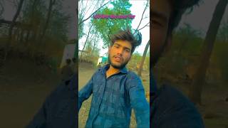 #दिन कट गऐ होटल मैं#mirthulodhi #viralvideo #manoranjan #trendingshorts #videoshort #लोकसभा