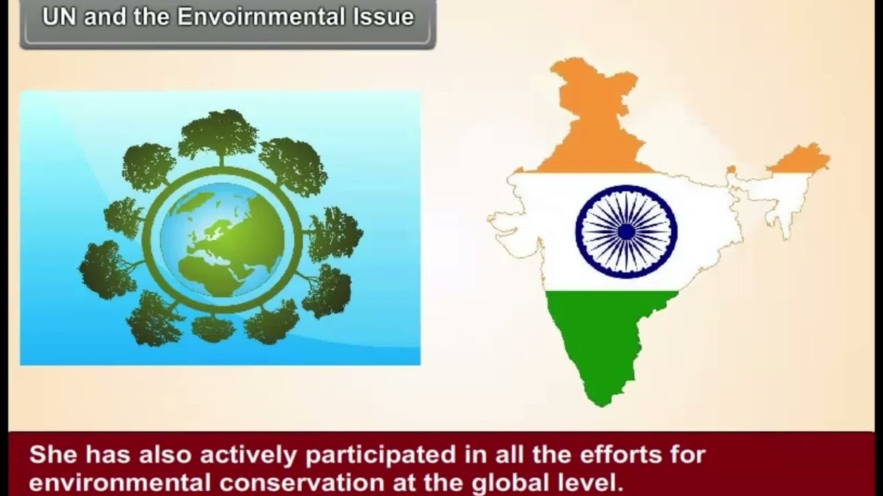 The Functions of the United Nations | Class 8 Social Science | Global Peace & Development