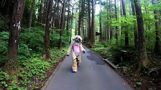 【ケモノ着ぐるみ】Maiia go to the lower world! He went to hang out at his friends house【4k,60p】