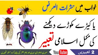 khwab mein keeray makoray (Insects) dekhna | dreaming about insects | Dream Interpretation