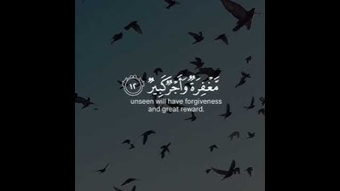 ان الذين يخشون ربهم بالغيب~حالات واتساب قران😍🌹 بصوت الشيخ#ياسر_الدوسري سورة الملك من اجمل التلاوات