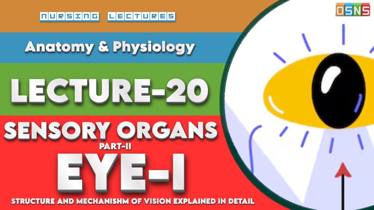 Osns Eye Anatomy & Physiology for Nurses | Retina, Lens, Visual Pathway ...