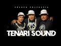 TENARI SOUND 09 - ANGELO (HULA)