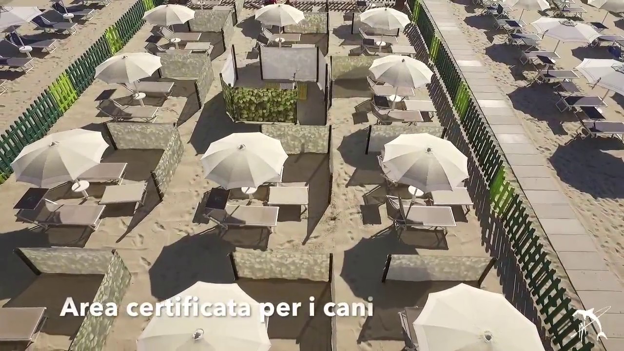 51++ Bagno delfino pinarella image HD
