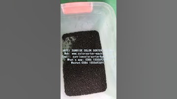 Pepper seeds color sorting machine #colorsorter #colorsorting #farming#machine #pepper  #seeds