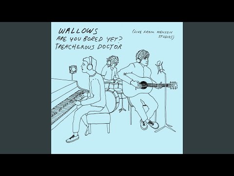Treacherous Doctor - Wallows