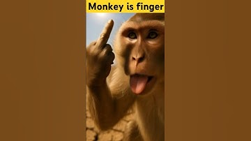 monkey is middle finger " part : 2 🙊#trending #ai #shorts,