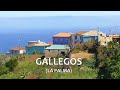 LA PALMA (CANARY ISLANDS) Gallegos &amp; the north of La Palma (13 Feb 2024)