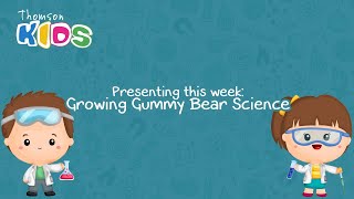 Growing Gummy Bear Science - Experiment and Create (Kindergarten)