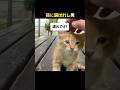 可愛すぎて逃れられなかった