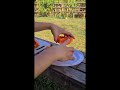 Morning Vibe! 🙂 Kain po. 💖 #fypシ゚ #nasugbubatangas #ytshorts #reels #relaxing #fruit #tiktok #farm