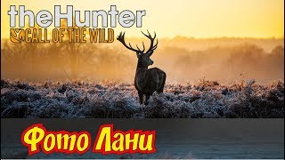 THE HUNTER: CALL OF THE WILD! ФОТО ЛАНИ!