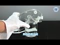 《利器五金》1621防衝擊護目鏡 防化學眼鏡 外銷款防衝擊護目鏡 MIT-1621 透明擋風 product youtube thumbnail