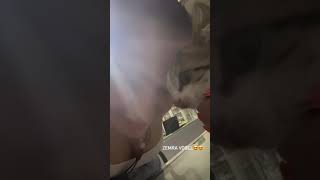 Zemra Vogël - Gerta Shino Gjen Mace Te Re