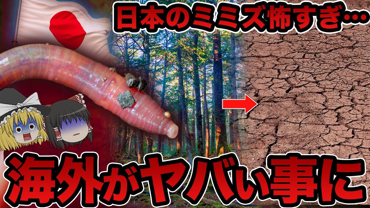 【ヤバすぎ】日本のミミズが世界を破壊します