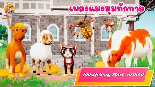 เพลงแมงมุมทักทาย  - KidsMeSong Music Official